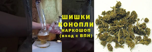 шишки Алексин