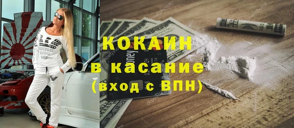 шишки Алексин